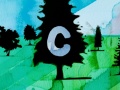 CisforConifers1.jpg