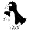 Mesmerizing Penguin.gif