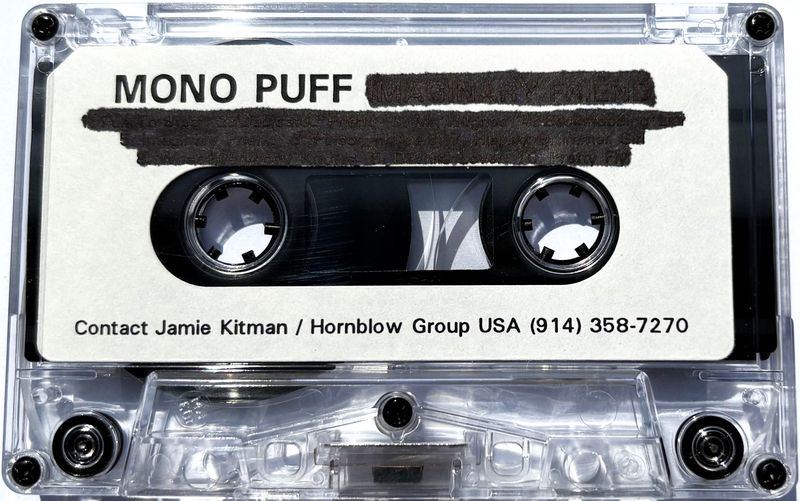 File:FunToStealSamplerCassette.jpg