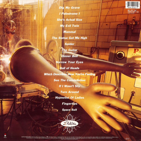 File:A18vinylback.png