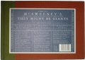 McSweeneys book.jpg