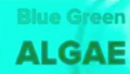 BlueGreenAlgae.png