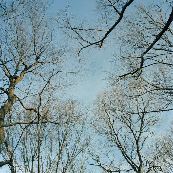 File:Glean Cover Background.jpg