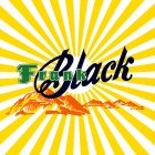 Frank Black album cover