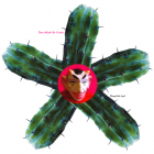 They Got Lost tmbg compilation cover