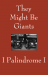 I Palindrome I (EP)