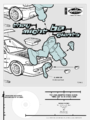 Mink Car flat.png