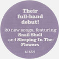 white text reads “Their full-band debut! 20 new songs, featuring Snail Shell and Sleeping in the Flowers” on a light purple background