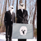 The Else album cover